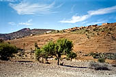 Marocco meridionale - Lungo la strada da Tiznit a Tafraoute. 